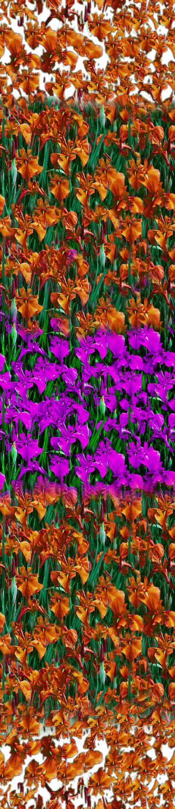 437291-女装数码印花鲜花对比色定位数码女裙