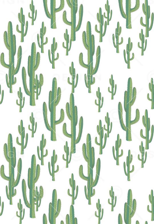 韩国时尚印花华亿平台图片