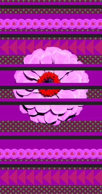 437342-几何 花卉定位