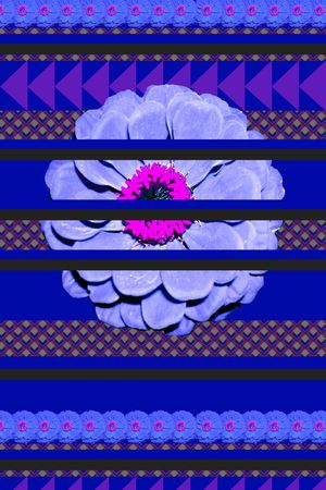 休闲印花华亿平台图片