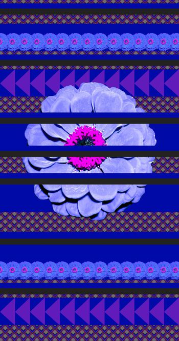 437343-几何 花卉定位