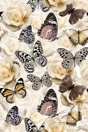 田园印花华亿平台图片