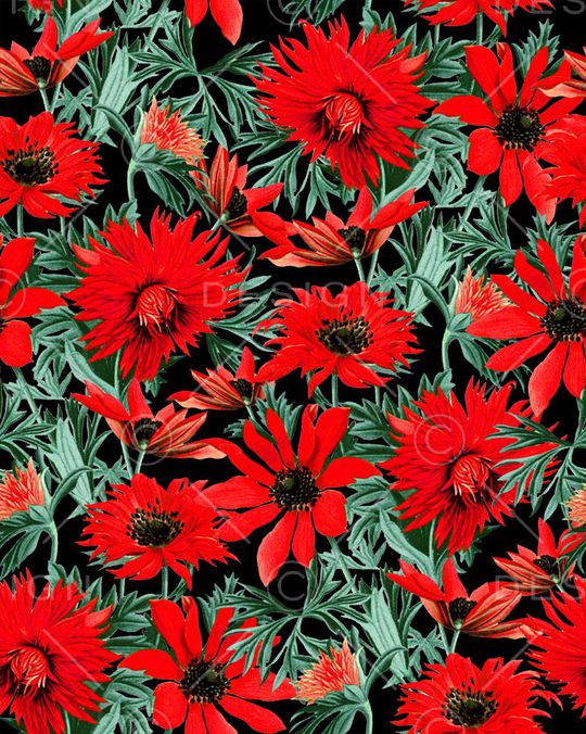 复古印花华亿平台图片