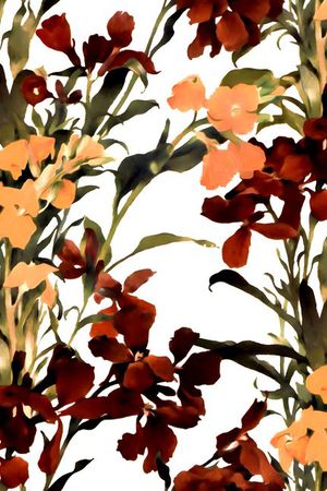 复古印花华亿平台图片