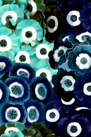 复古印花华亿平台图片