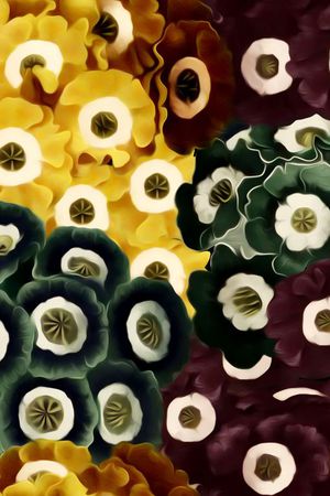 复古印花华亿平台图片