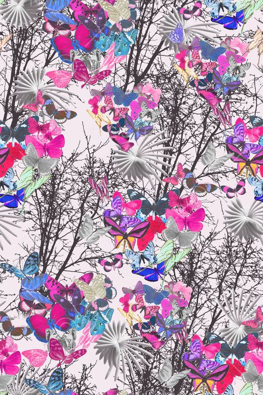 蝴蝶印花华亿平台图片