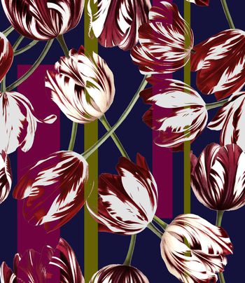 437579-大牌秀场郁金香