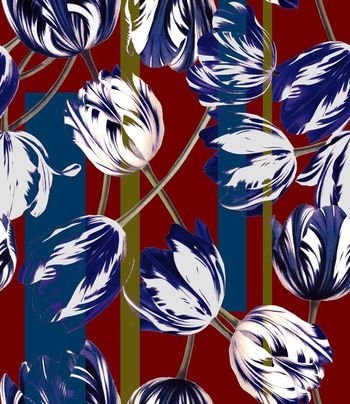 437580-大牌秀场郁金香