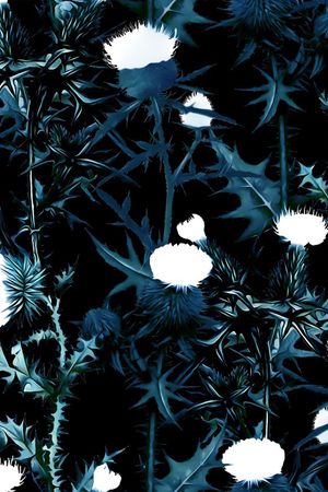 大牌秀场印花华亿平台图片