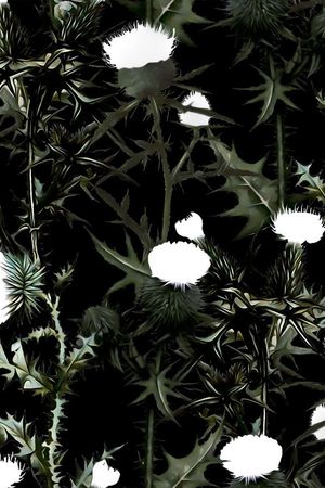 大牌秀场印花华亿平台图片