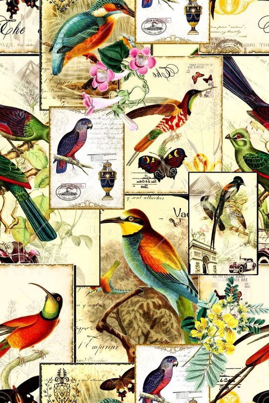 欧式印花华亿平台图片