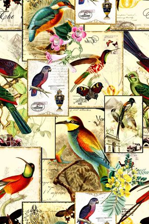 欧式印花华亿平台图片