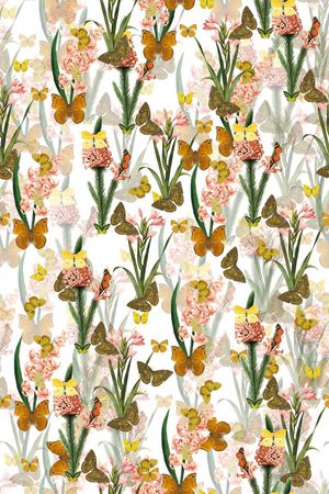 蝴蝶印花华亿平台图片