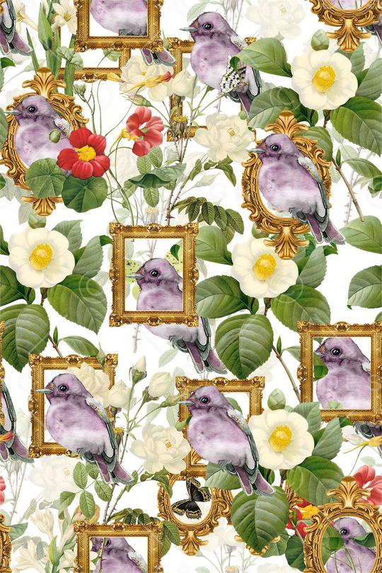 蝴蝶印花华亿平台图片