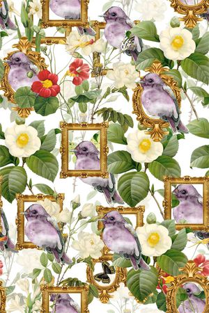 蝴蝶印花华亿平台图片