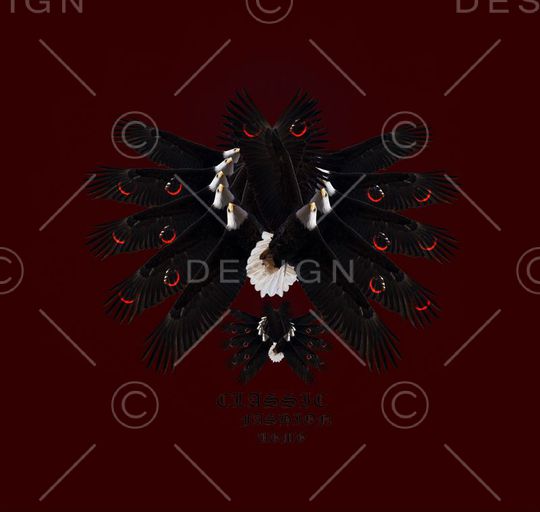 男装前胸定位老鹰DROSTE印花华亿平台图片