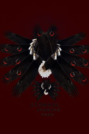 男装前胸定位老鹰DROSTE印花华亿平台图片