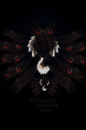 男装前胸定位老鹰DROSTE印花华亿平台图片