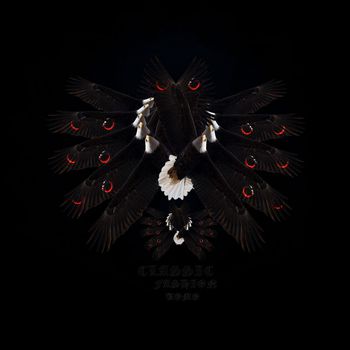 437841-男装前胸定位老鹰DROSTE