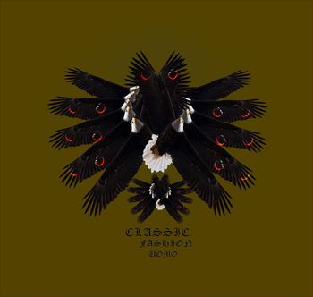 437842-男装前胸定位老鹰DROSTE