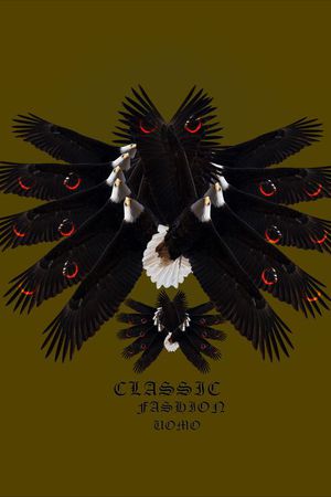 男装前胸定位老鹰DROSTE印花华亿平台图片