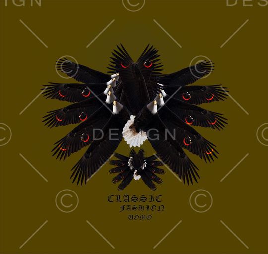 男装前胸定位老鹰DROSTE印花华亿平台图片