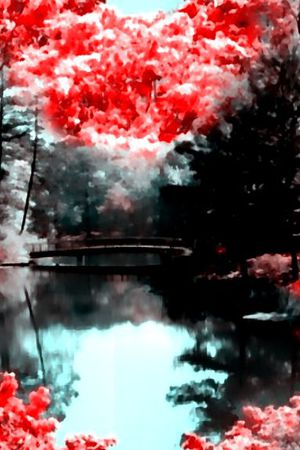 风景印花华亿平台图片