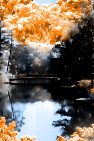 风景印花华亿平台图片