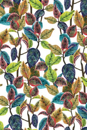 热带印花华亿平台图片