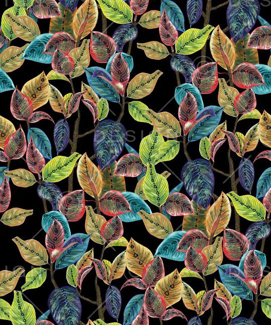 热带印花华亿平台图片