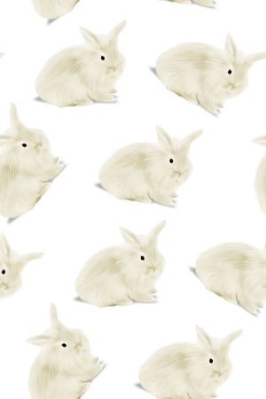 可爱印花华亿平台图片