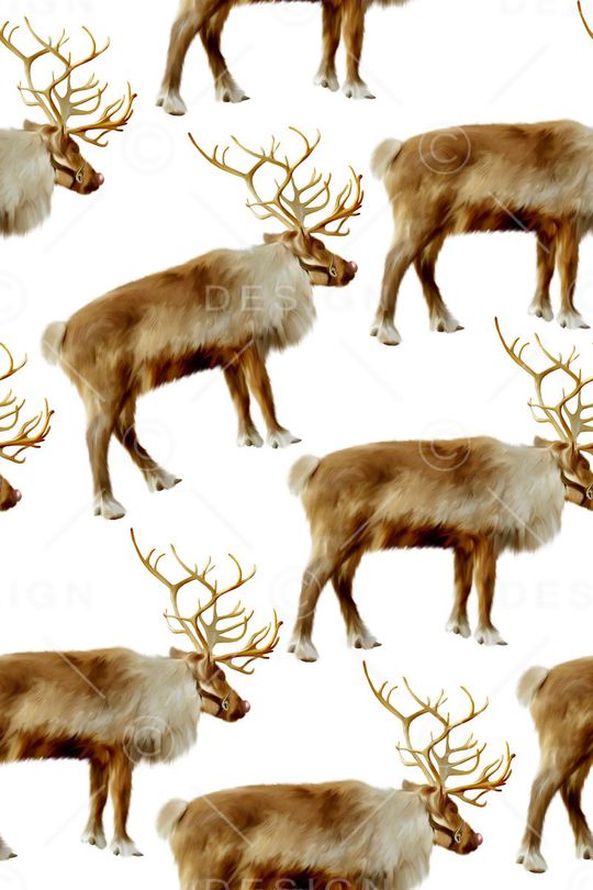 可爱印花华亿平台图片