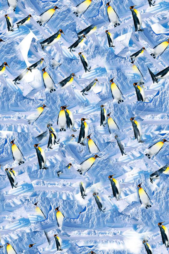 羽绒服印花华亿平台图片