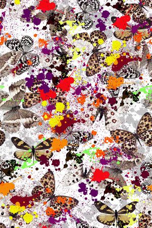 蝴蝶组合印花华亿平台图片