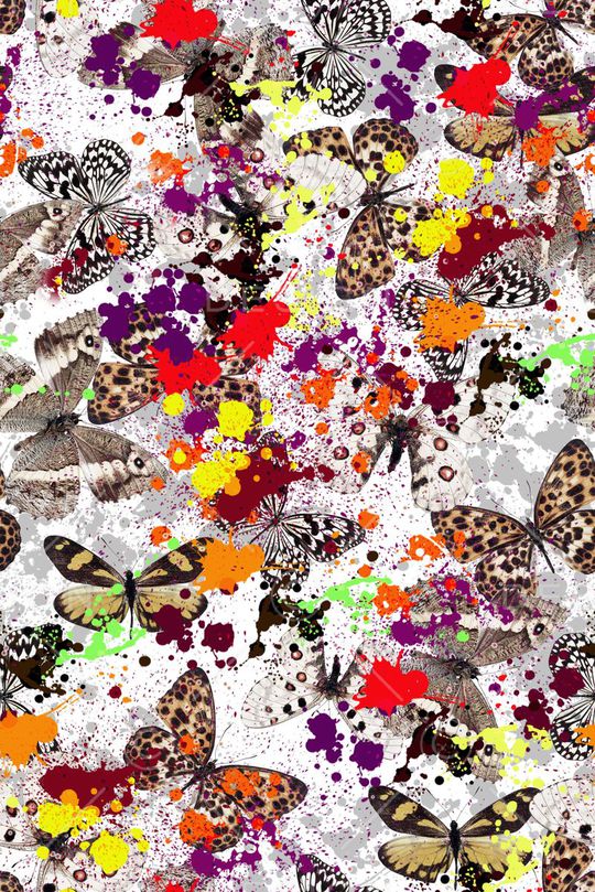 蝴蝶组合印花华亿平台图片