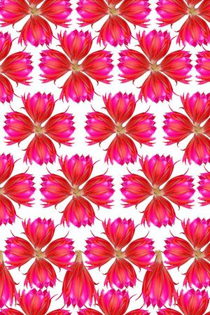 白色底印花华亿平台图片