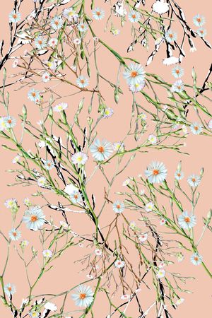 时尚女装印花华亿平台图片