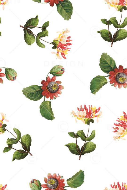 复古印花华亿平台图片