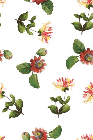 复古印花华亿平台图片