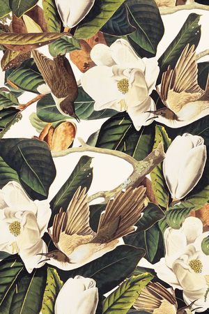 手绘印花华亿平台图片