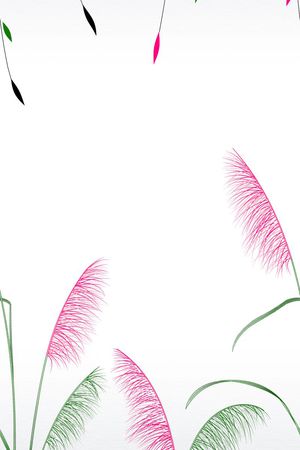 时尚窗帘华亿平台 家纺华亿平台 流行窗帘华亿平台印花华亿平台图片