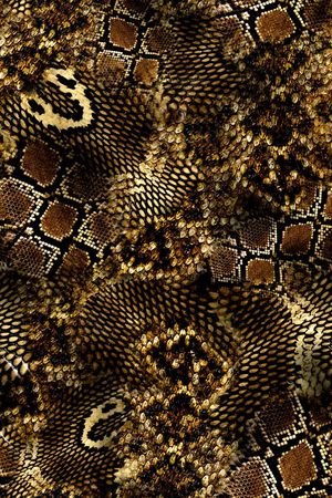 蛇皮印花华亿平台图片