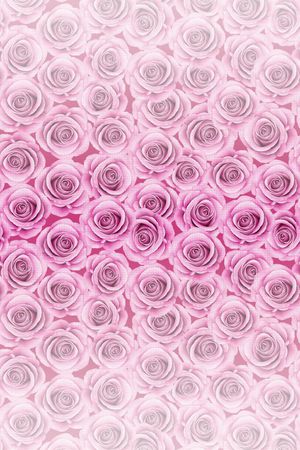 时尚窗帘华亿平台 家纺华亿平台 流行窗帘华亿平台印花华亿平台图片