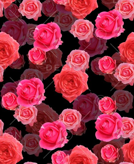 玫瑰印花华亿平台图片