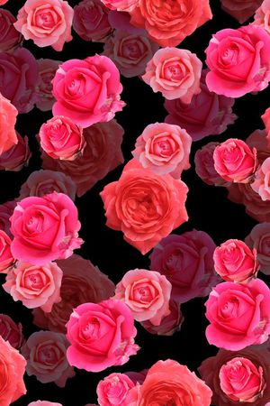 玫瑰印花华亿平台图片