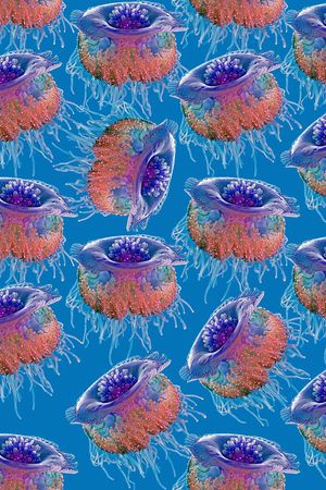 大水母印花华亿平台图片