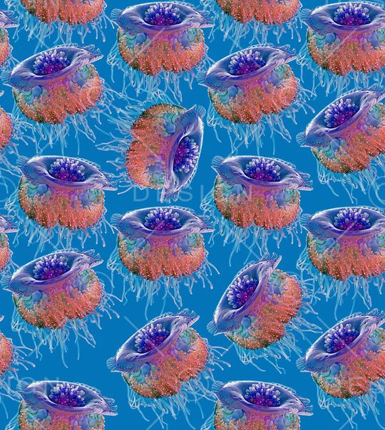 大水母印花华亿平台图片