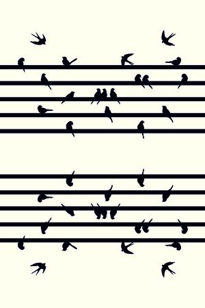 动物印花华亿平台图片