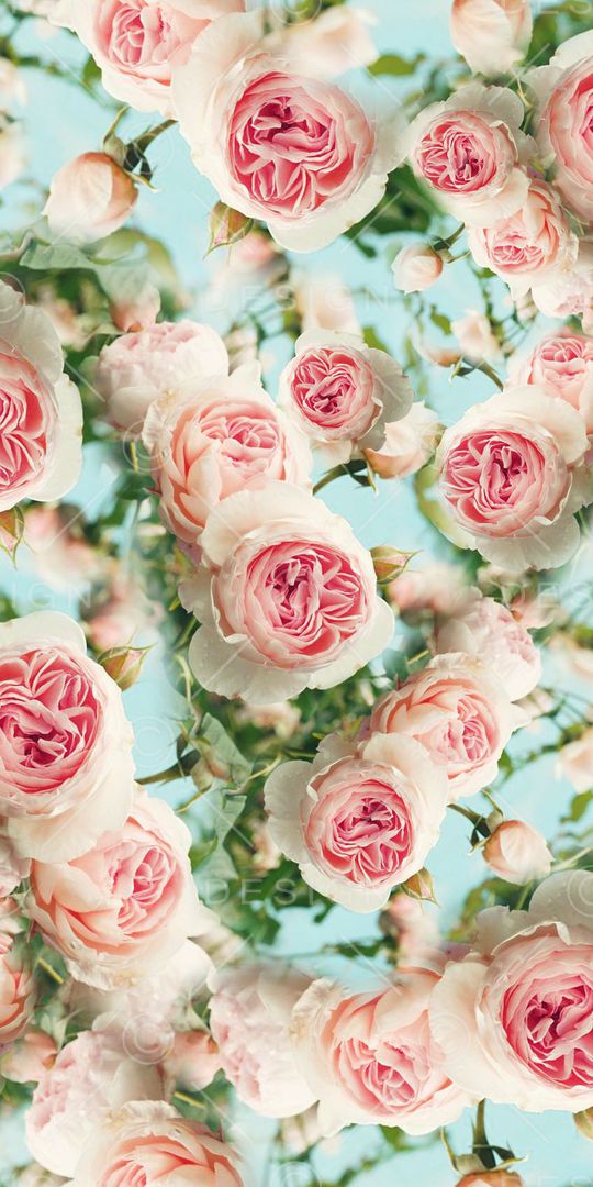 清新印花华亿平台图片